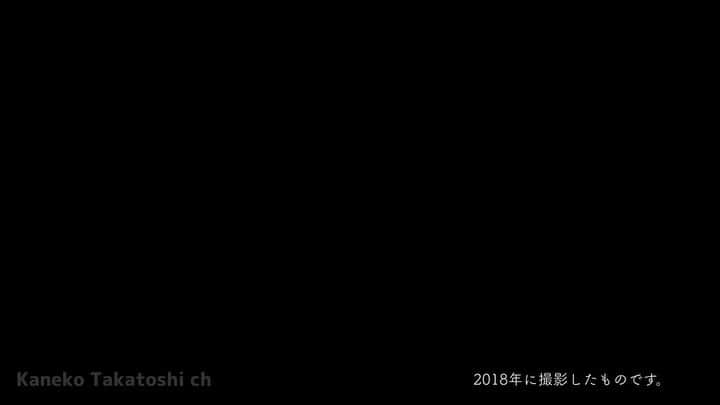金子貴俊のインスタグラム：「少し修正したためアップし直しました。 #stayhome  1人でも多くの人にこの動画が届いて、なにかを感じてもらえたら嬉しいです。娘の描いた一枚の「Stay Home」の絵に心打たれました。そこから家族で考えて制作した動画。 コロナが少しでも早く収束する様に願いを込めて。 良ければシェアなどお願いします。  YouTubeにもアップしました。 https://youtu.be/m714MZa4eGg プロフィール欄のURLからもいけます。 よろしくお願いします。  #お家にいよう #stayathome #staysafe  #stayhealthy」