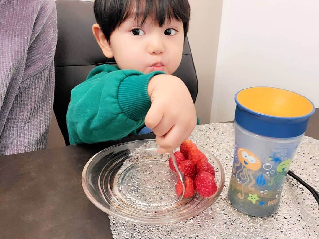佐藤夏希のインスタグラム：「あむあむ🍓 イチゴ美味しいね😊❤️❤️❤️❤️ * * * #男の子#男の子ママ#おやこーで #むすこーで #息子#息子ラブ #2歳#ママ#ママさんと繋がりたい #ママスタグラム#mama#mamastagram #mamanoko #ママリ#babyboy#boy#成長記録#いちご好き #男の子ヘア #アンパンマン#いちご #苺#🍓#Strawberry」