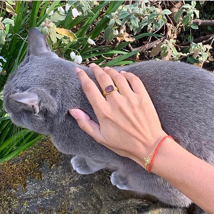 ベックスロックスさんのインスタグラム写真 - (ベックスロックスInstagram)「Thank you @amishaghadiali for your beautiful words, appreciation and trusting in me to breath new life into your ring. . “Here is a story about this beautiful ring which was made for me earlier this year by the wonderful @rebeccamannersbespoke. Some of you may not know but I did a decade of activism in sustainable fashion working with @joinourco and @fash_rev. I started an ethical jewellery label in 2006 and kept it going as a side project for many years. I made some malas not that long ago but once I got going with @thefutureisbeautiful podcast, the jewellery faded into the background. When I was starting out I was in admiration of a brand called Bex Rox @bexroxartisans which I had noticed at a trade fair I was exhibiting at. Fast forward to this year and I met Bex in Bali. I showed her my ring, as I have been wearing this garnet for a few years now as vastu - meaning it was recommended by my astrologer @anand_vedicvalley. I found the stone in Varanasi and had it set into a simple ring. It was time to give the ring some new energy as the planet had moved from its position in my sun, to its position in my moon. I am wearing this stone on this finger for another two years. When I showed it to Bex, she took my old ring which you can see in the first photo where I am wearing a dress by another sustainable brand @supernaturae made by artisans. Bex has created something bold, beautiful and powerful made by artisans in Bali. I absolutely love it. There is such power to jewellery as talisman. You can also see in the photos my bracelet from @anandasoulcreations which is also hand made in Bali and about trusting the flow of life. If you have spare resources at this time, please do support beautiful small businesses working with artisans. These incredible skilled wisdom keepers have been holding knowledge for generations and have been struggling in a world that does not value slow, careful, forever. In these times it is even more difficult for these beautiful people to preserve their skills and feed their families. And so investing in a piece of jewellery or clothing made with love could literally save lives.” Amisha  #sustainable #artisan #styleandpresence」4月16日 18時46分 - rcollectivestudio