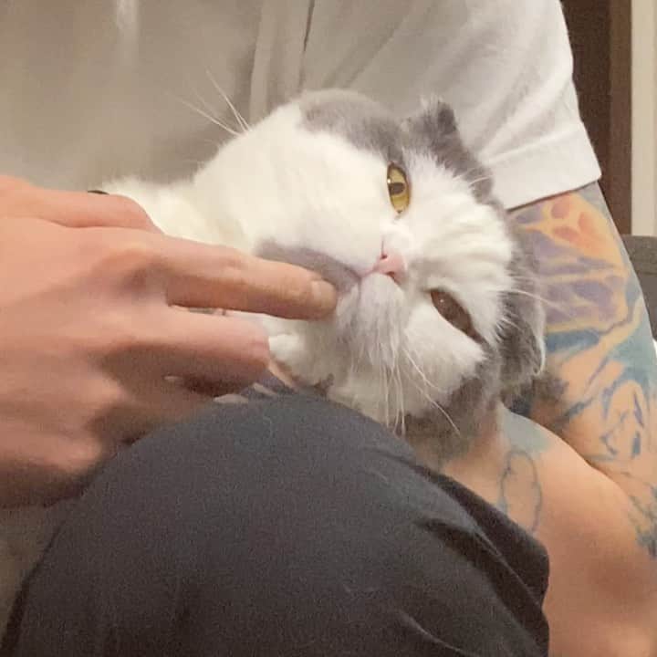 サイモンとマルティナのインスタグラム：「Meemers discussing his important schedule for the day 📝」