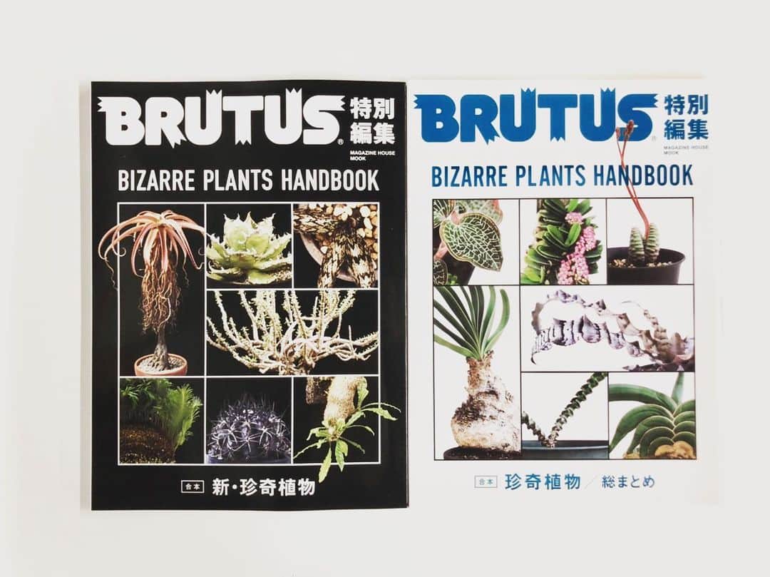 ブルータスさんのインスタグラム写真 - (ブルータスInstagram)「【珍奇植物ムック★発売中】 珍奇植物シリーズのムック本第二弾（左）は、132ページの大ボリュームで数百種ものビザールな植物たちを紹介します。今回は、珍奇植物の生まれ故郷にして、園芸家たちの永遠の憧れ「自生地」に焦点を当てた企画がたくさんあります。サボテンを求め中南米へ、多肉植物を求め南アフリカへ、熱帯植物を求め東南アジアへ……。植物の原点であり、目指すべき姿である自生地を、世界各国から集めました。その逞しい姿に想いを馳せ、園芸の参考にしてみてください。 #BRUTUS #珍奇植物 #植物 #botanical #plants #nature」4月16日 19時52分 - brutusmag