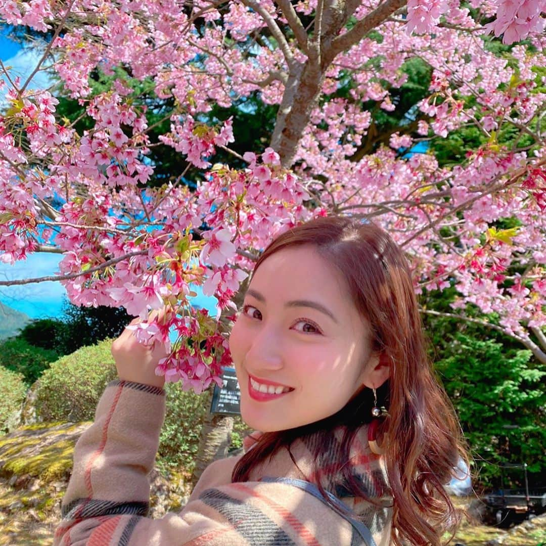 紗綾さんのインスタグラム写真 - (紗綾Instagram)「花見はしないよ。 いつぞやの写真🌸」4月16日 20時17分 - saaya_official_