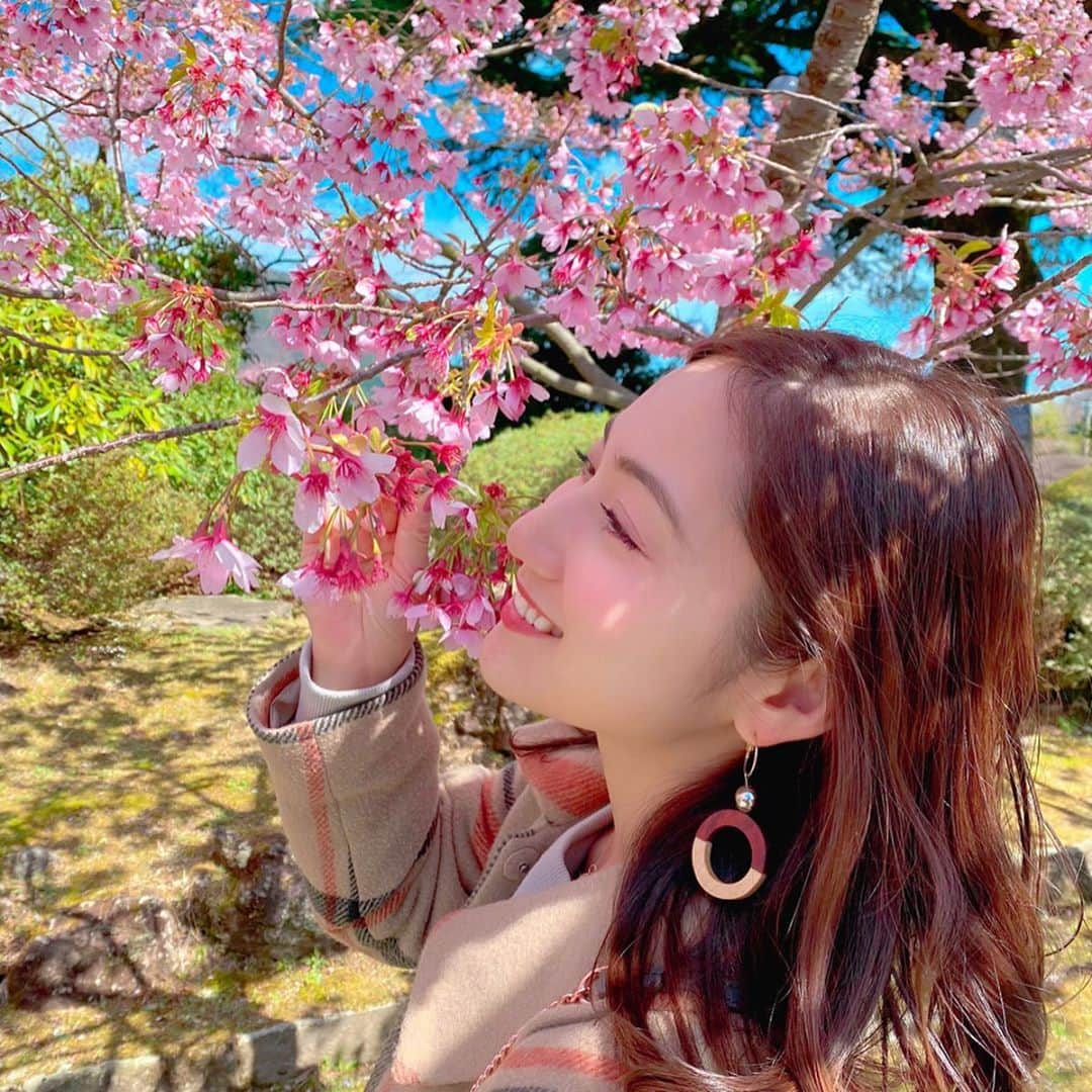 紗綾さんのインスタグラム写真 - (紗綾Instagram)「花見はしないよ。 いつぞやの写真🌸」4月16日 20時17分 - saaya_official_