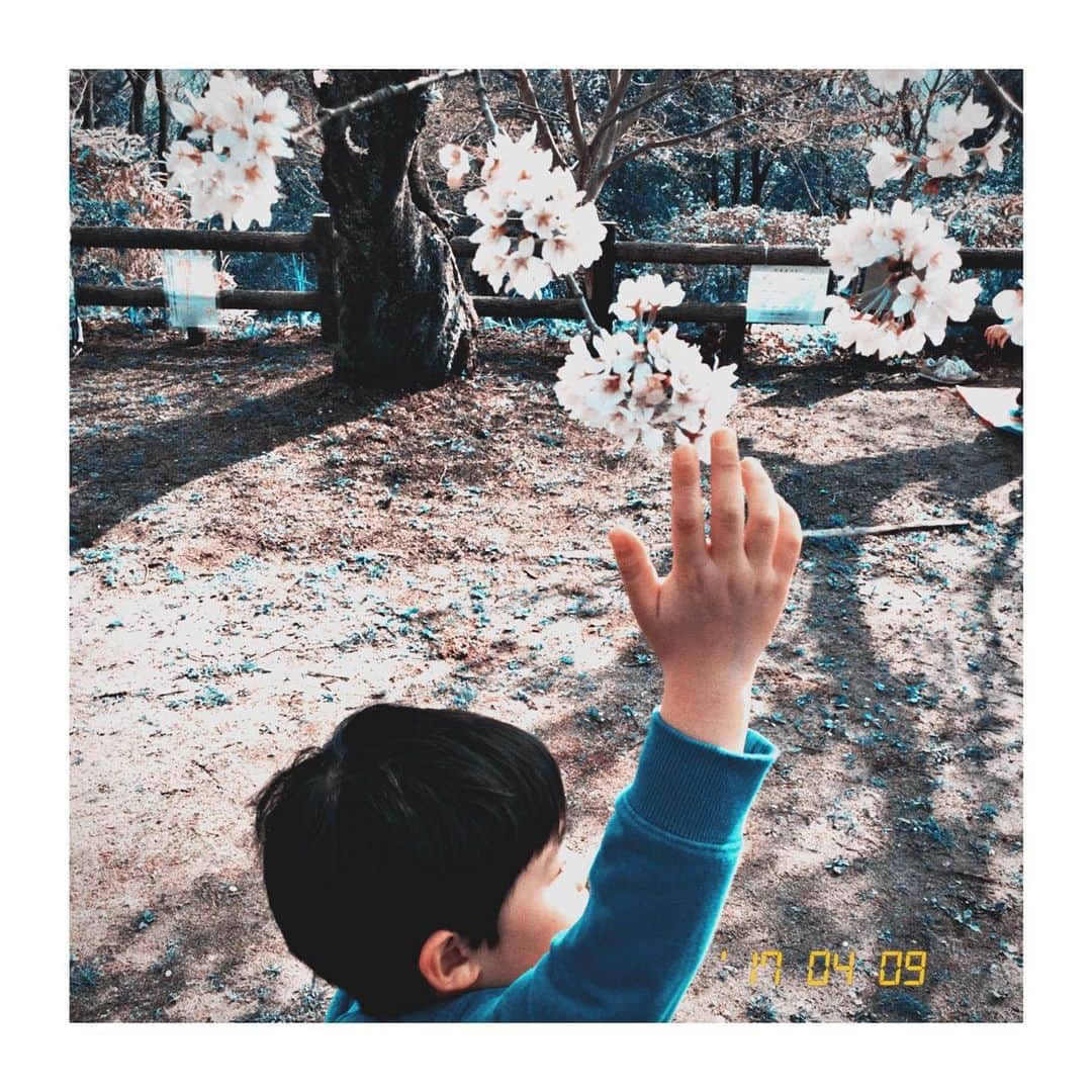 Egamiのグルメインスタ