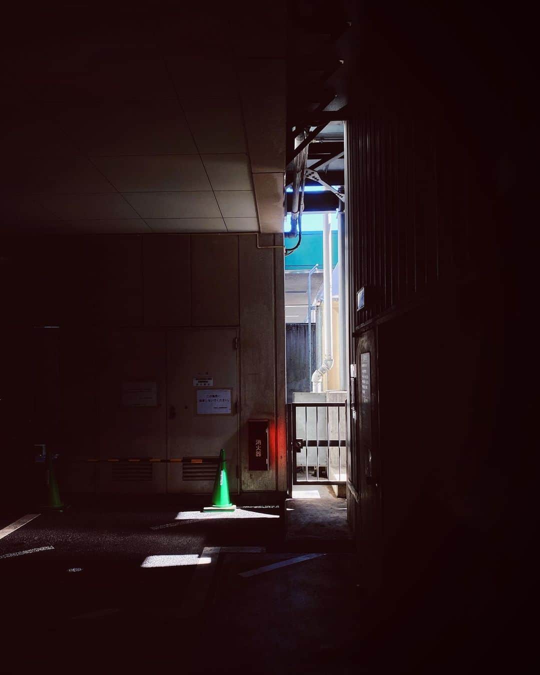 ima_ju / Jun Iのインスタグラム：「. . R.G.B . . ::」