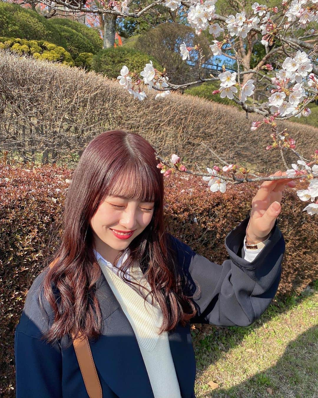 華山志歩のインスタグラム：「﻿ 満開になる前の桜🌸﻿ 今年は満開の桜は家からしかみてないな〜🤔﻿ ﻿ この写真は宇都宮の八幡山公園で﻿ 前に餃子をたくさん食べた日にお散歩した時の！﻿ ﻿ ﻿ それにしても自然光に当たると髪が赤い。笑﻿」