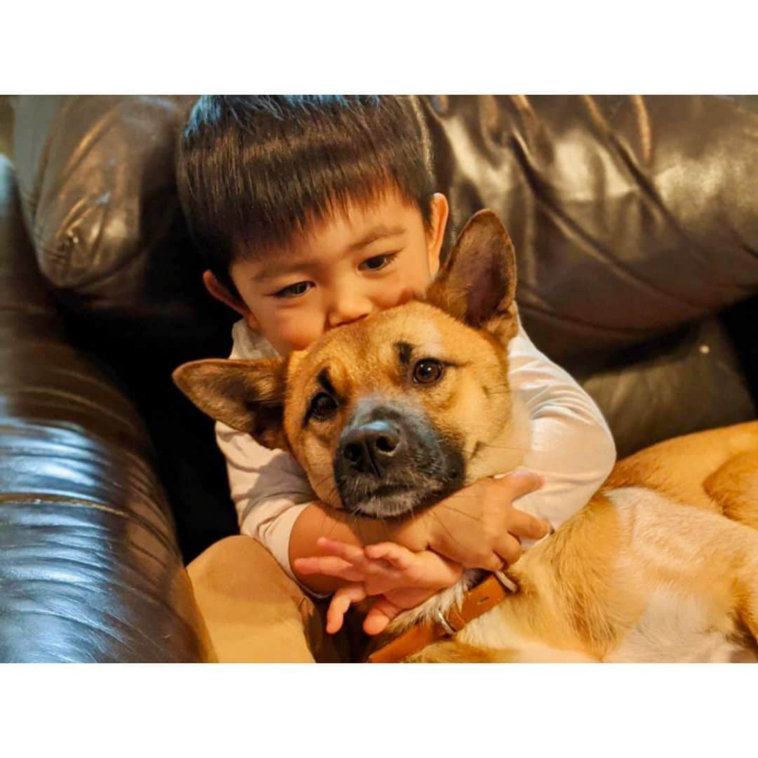 富田真紀子さんのインスタグラム写真 - (富田真紀子Instagram)「Friendship 👦🏻🐕︎💕︎ 犬を飼うなら、保護犬飼おう。  #毎日投稿チャレンジ #山口で飼い始めた #保護犬 #なな #今は #親友ができました︎ ︎💕︎」4月16日 21時07分 - makikotommy