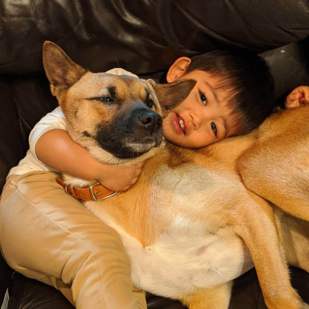 富田真紀子さんのインスタグラム写真 - (富田真紀子Instagram)「Friendship 👦🏻🐕︎💕︎ 犬を飼うなら、保護犬飼おう。  #毎日投稿チャレンジ #山口で飼い始めた #保護犬 #なな #今は #親友ができました︎ ︎💕︎」4月16日 21時07分 - makikotommy