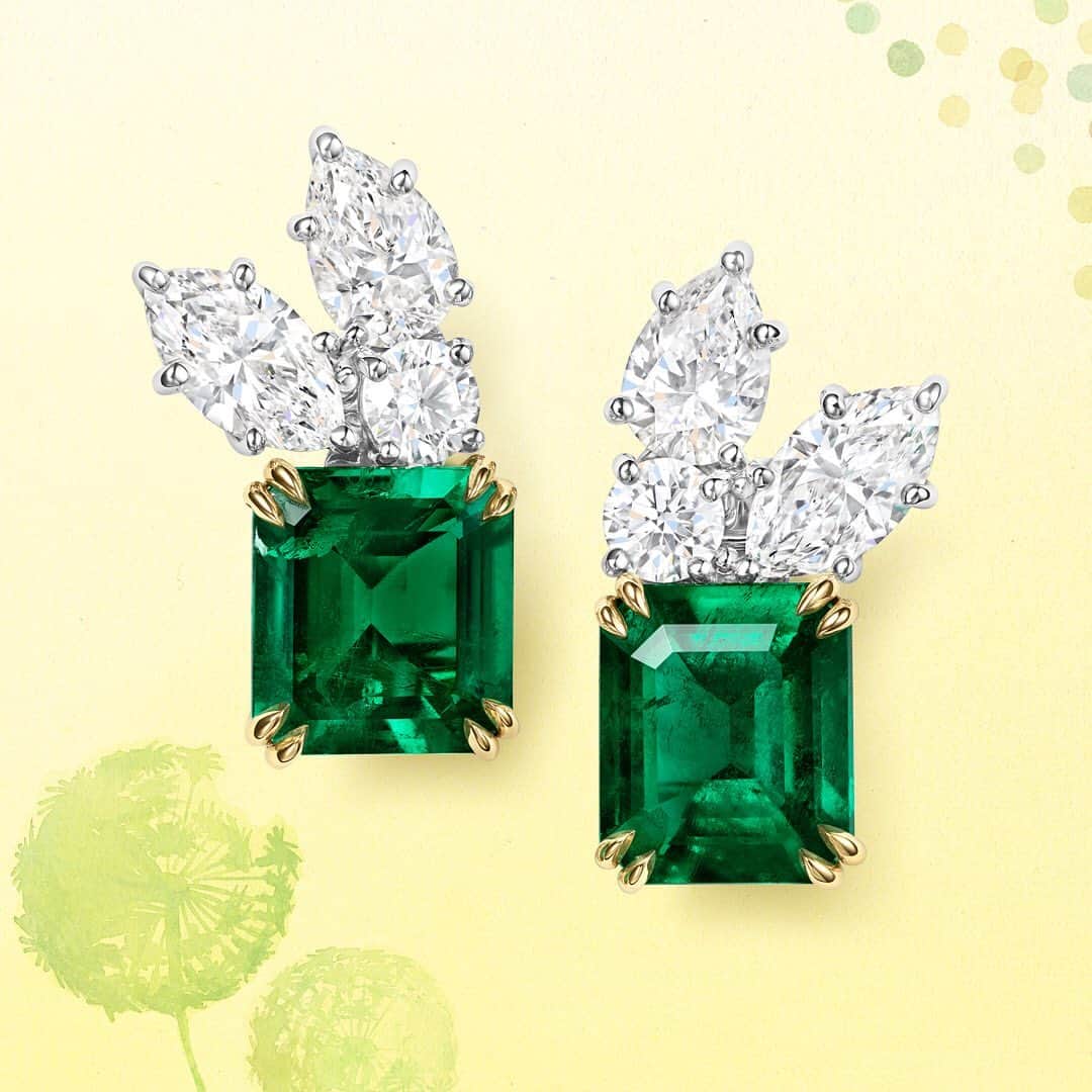ハリー・ウィンストンさんのインスタグラム写真 - (ハリー・ウィンストンInstagram)「Fresh #diamond and emerald earrings evoke the season’s vibrant hues. Revive your #WinstonGarden by tapping the link in bio. #HarryWinston」4月16日 21時07分 - harrywinston