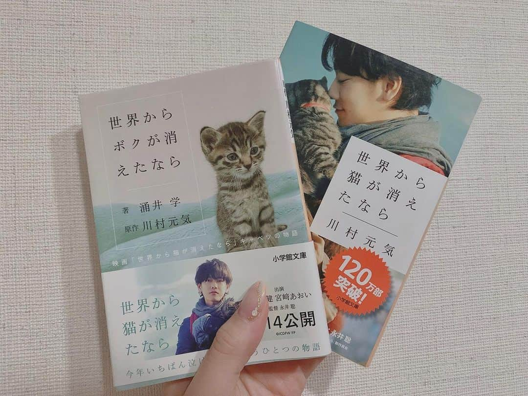 布施柚乃さんのインスタグラム写真 - (布施柚乃Instagram)「小説「世界からボクが消えたなら」﻿ ﻿ ﻿ 映画化された「世界から猫が消えたなら」﻿ の、猫が主人公verの本。﻿ ﻿ 読んだのは最近じゃないけど﻿ ﻿ ずーっと好きな本。﻿ 暇だったらぜひ。﻿ ﻿ ﻿  #book#reading#booklover#bookstagram#story#hobby#readingtime#fiction#本#小説#読書#読書記録#本好き#読書タイム#表現#読書感想#本棚#文庫#読書日記#読書部#本屋#文#言葉#ゆのの読書録#本の世界#책#독서#소설#취미#좋아」4月16日 21時21分 - yuno.fuse