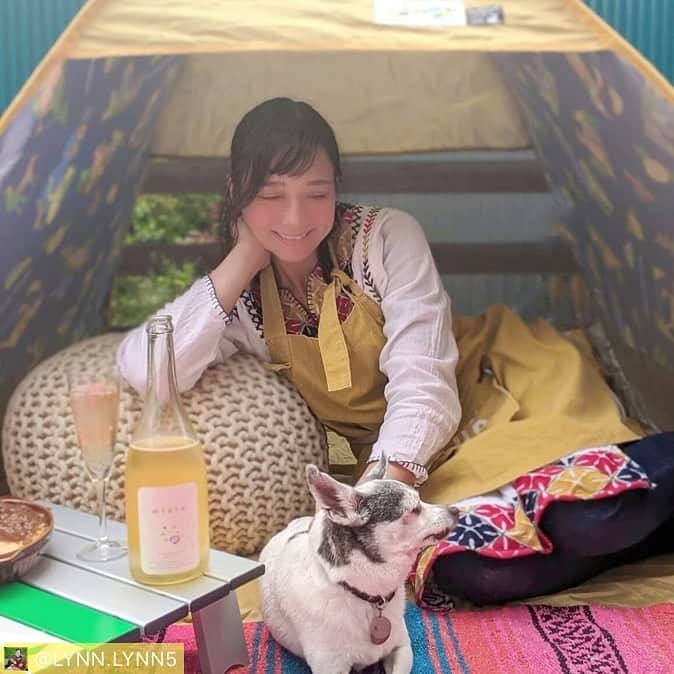 旅色さんのインスタグラム写真 - (旅色Instagram)「#旅色アンバサダー #芳美リン さんの﻿ インスタグラムでステキなお写真発見📸✨﻿ ﻿ おうちキャンプだ〜🥰🌿﻿ なかなか外出が出来ない今、こうやって工夫しながら楽しむのもいいですよね⛺️﻿ 私も週末はちょっとしたアレンジおつまみを﻿ 作って昼から家飲みを楽しんでいます🥂笑﻿ ﻿ 芳美リンさんの旅色アンバサダーの記事も﻿ ぜひチェックしてみてください📱﻿ ﻿ https://tabiiro.jp/ambassador/members/m007/ ﻿ ﻿ @lynn.lynn5 #Regram #Repost @aoai_beverage_meadery さんから、#mielo06　というお酒をいただきました😀﻿ ﻿ なんと、蜂蜜できているのです。﻿ 蜂蜜酒って初めて飲みました。🍷﻿ ﻿ 蜂蜜ってことはすごく甘いのかな。﻿ と思いましたが、ドライな飲み口！微発泡で爽やか〜﻿ ﻿ スッキリと飲みやすい！﻿ ﻿ お家時間の楽しみ、ありがとうございます😀♥﻿ ﻿ ﻿ ﻿ #蜂蜜酒﻿ #おうちキャンプ﻿ #庭キャンプ﻿ #BBQ﻿ #クッション﻿ @rugandmore_official﻿ #Captainstag﻿ #キャプテンスタッグ#鹿番長﻿ #キャンプ#アウトドア#アウトドア女子#犬のいる暮らし﻿ ﻿」4月16日 21時21分 - tabiiro
