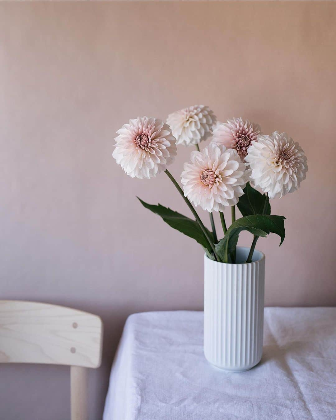 増田由希子さんのインスタグラム写真 - (増田由希子Instagram)「Pure elegance.  #dahlia #dahlias #lyngby #stayhome 素敵なダリア😌」4月16日 21時36分 - nonihana_