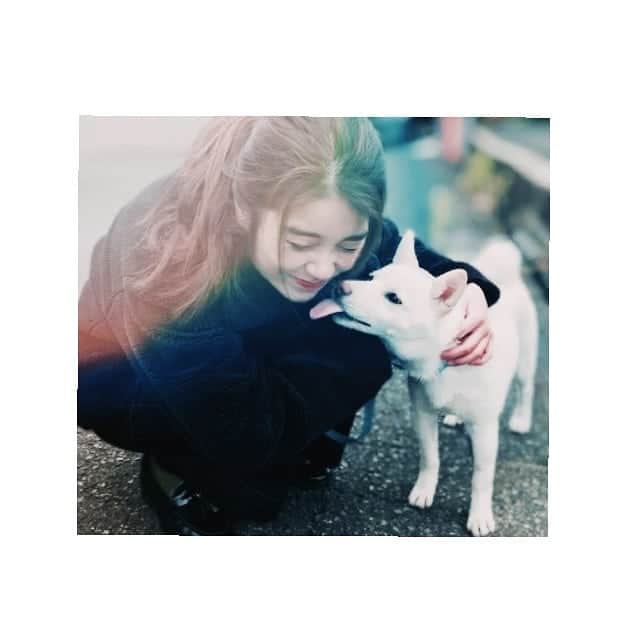 安島萌さんのインスタグラム写真 - (安島萌Instagram)「love。 #love」4月16日 21時44分 - ajima_moe