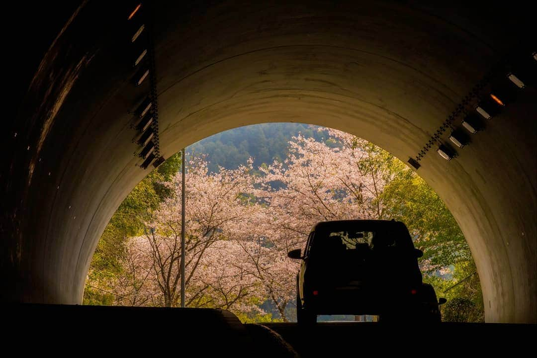 鹿児島よかもん再発見のインスタグラム