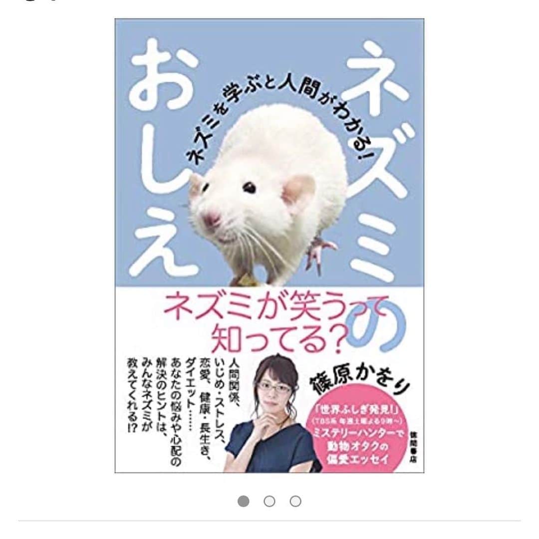 篠原かをりさんのインスタグラム写真 - (篠原かをりInstagram)「新著『ネズミのおしえ　ネズミを学ぶと人間が分かる！』が4/24に刊行されます！ ネズミへの愛だけで出来上がった本です！ 表紙がめちゃくちゃ可愛いです(うちのネズミ) どうぞよろしくお願いします!  https://www.amazon.co.jp/dp/4198650608  #出版　#新作　#ネズミ　#ファンシーラット #徳間書店」4月16日 22時04分 - kawori_rat