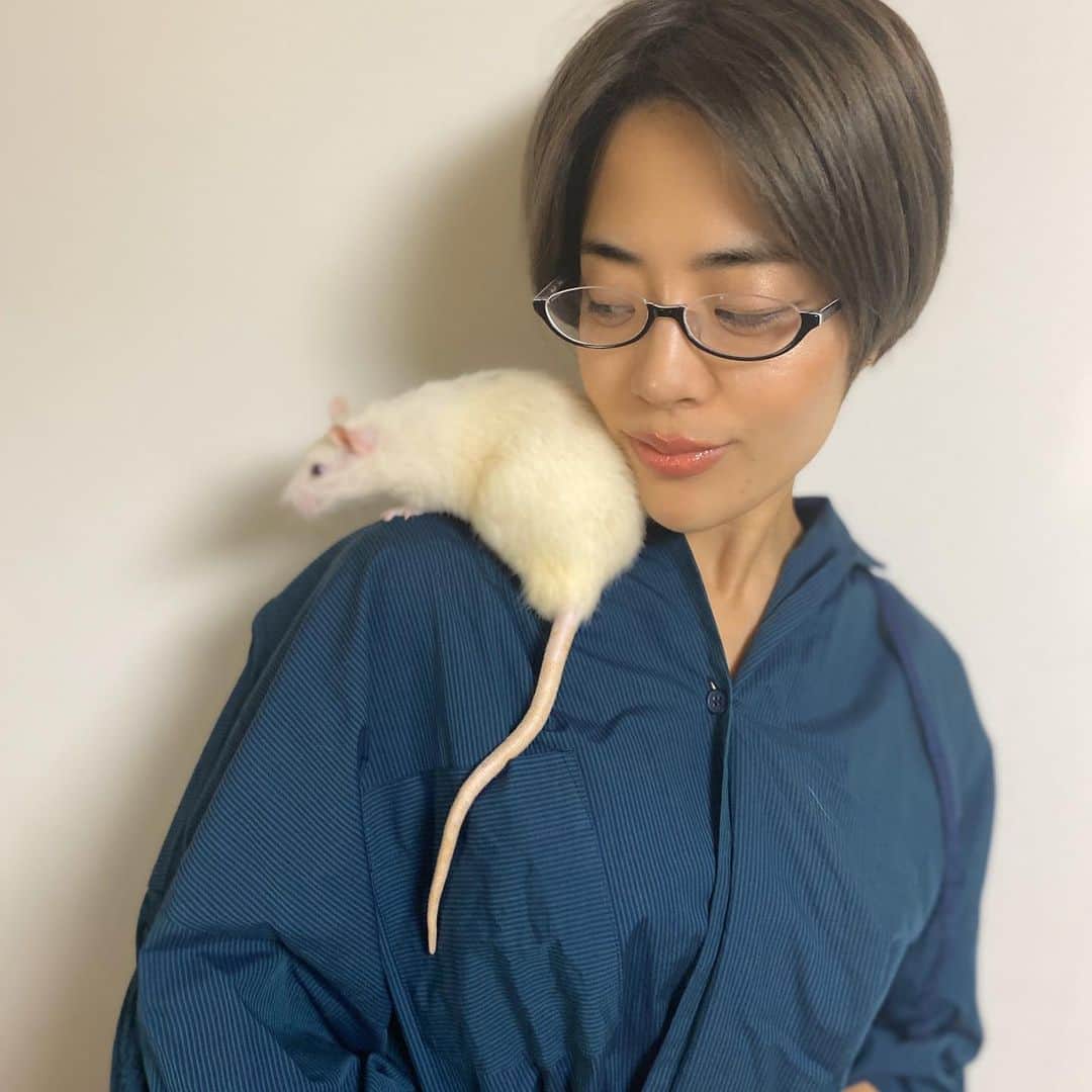 篠原かをりさんのインスタグラム写真 - (篠原かをりInstagram)「新著『ネズミのおしえ　ネズミを学ぶと人間が分かる！』が4/24に刊行されます！ ネズミへの愛だけで出来上がった本です！ 表紙がめちゃくちゃ可愛いです(うちのネズミ) どうぞよろしくお願いします!  https://www.amazon.co.jp/dp/4198650608  #出版　#新作　#ネズミ　#ファンシーラット #徳間書店」4月16日 22時04分 - kawori_rat