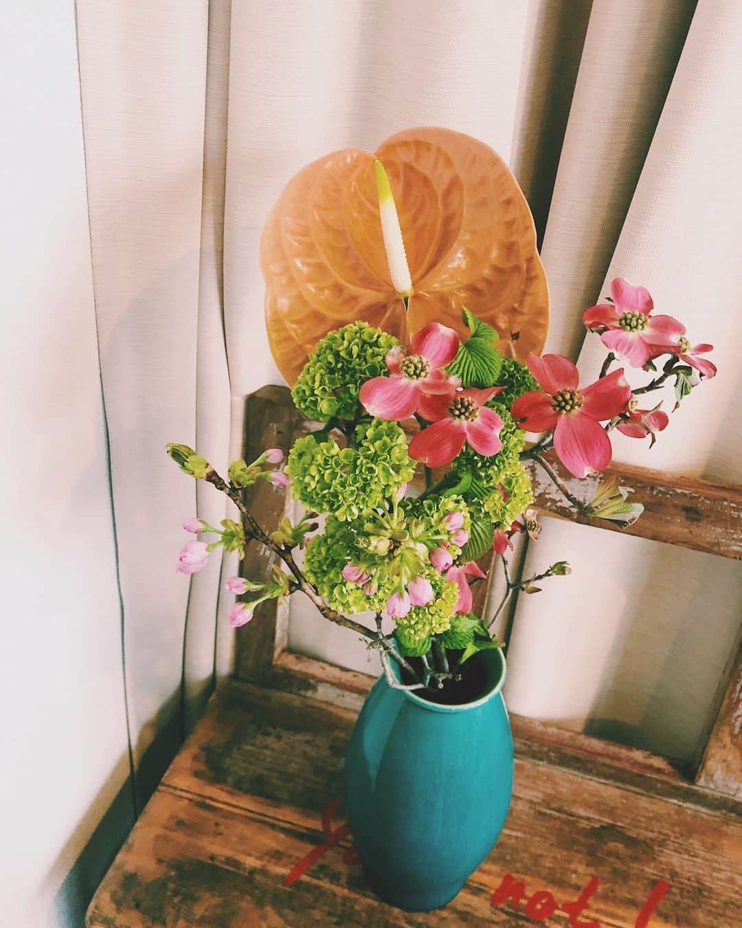 垣内彩未さんのインスタグラム写真 - (垣内彩未Instagram)「昨日いきなりお花が おうちに届きまして。  誰だろう？と思ったら のんちゃん @kawashimanozomi_official からでした♡💐 おうちにこもりっぱなしの生活で お花とかあればな〜、と思っていたところだったから めちゃくちゃ嬉しかった🥺  みんなそれぞれ色々大変なときに 想って、お花を送ってくれた 気持ちに感動しました。  ありがとう！🌼 早くまた会いたいよー！」4月16日 22時05分 - kakiuchiayami