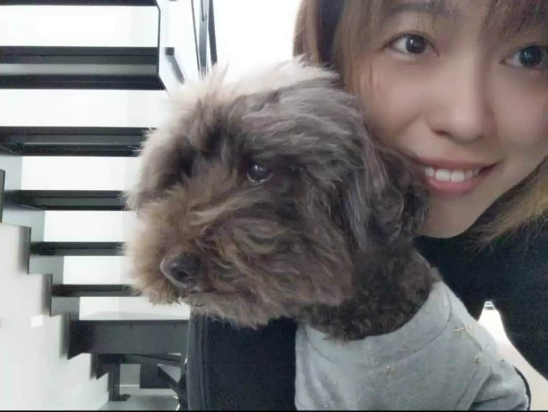 河野ひかるのインスタグラム：「犬🐾」