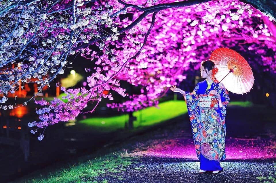 舘林佳史さんのインスタグラム写真 - (舘林佳史Instagram)「ドラマティックナイトフォトシリーズ☺️✨﻿ ﻿ ﻿ 🌸夜桜小道🌸﻿ ﻿ ﻿ ﻿  誰でも物語の主人公になれるをキャッチコピーに﻿ ドラマや映画の物語のワンシーンの様なDramaticStoryPhot﻿ と言う名前で活動作品作りをしています。﻿ ﻿ 大好評のドラマティックフォトのご依頼は﻿ このクオリティーで30000円〜(ほぼ諸経費)﻿ で受け賜わっています)^o^( ﻿ 素敵な作品を一緒に作りたい！﻿ コラボレーションしたい 美容師・メイクアップアーティストさん ・服飾デザイナーさんクリエイターさんも随時募集中です✨﻿ ﻿ お姫様になりたい👸﻿ 物語の主人公になってみませんか^ ^⁉︎﻿ ﻿ たった一枚の写真で人生が変わる‼️﻿ ﻿ ✨作品作り体験モデルに興味がある方 ﻿ ドラマティックフォト依頼 撮影依頼 ﻿ 体験モデル募集﻿ ①お名前②地域③年齢④身長⑤LINE ID⑥応募理由やお問い合わせ内容⑦最近の髪型スタイルの分かる写真をDMまたはLINE ID510661下さい✨﻿ 📩﻿ モデル宣材撮影 コンポジ Book作り プロフィール撮影 ブライダルフォト記念撮影 衣装レンタル 成人式 着物 ドレスロケーションフォト スチール サロンモデル撮影 写真集等撮影のご依頼何でもお気軽にお問い合わせDM下さい✨📩 ﻿ ﻿ #夜桜 #穴場桜スポット﻿ #桜インスタ映えスポット﻿ #着物撮影﻿ #振り袖 #静岡観光#観光スポット #フリーモデル#ドラマティックストーリーフォト#インスタ映え#作品作り #撮影依頼#講習会#シューティング#撮影依頼募集中 #ファインダー越しの私の世界 #写真を撮るのが好きな人と繋がりたい  #ストロビスト#ポートレート#ポートレートモデル#モデル募集#被写体#ロケーションフォト#カメラマン#フォトグラファー##excellent_portraits #photographer#ig_bless_women#東京カメラ」4月17日 8時16分 - tatephotox