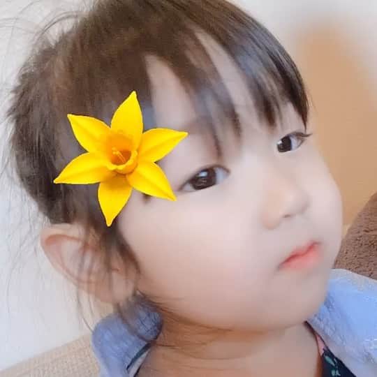 のインスタグラム：「ご無沙汰しております！！ なんだかもうてんやわんやで。  緊急事態宣言がいつ出るのか出ないのかをずっと伺いながら過ごした３月。 すぐさまお客様へのご連絡をさせていただき ４月7日〜5月6日まで CADENASは、休業させていただいております。  CADENASが毎日元気に営業できていたのは大切なお一人お一人のお客様がいてくださったから。申し訳ない気持ちと、あらわしきれない感謝の気持ちでいっぱいです。  いつも本当にありがとうございますm(_ _)m  外に出れない、人と接触しない、と言うことがこんなにも体感した事のない大きなストレスで ひたすら毎日が長く長く感じながら慌ただしく過ごしておりました。 まだ４月半分しかたってないの？！😫なんて小学生ぶりくらいに言った。というか毎日のように言ってます😢  いつも毎年、年越ししたばっかりなのに一瞬で夏なりましたねー！って言ってたのに。  でも今本当に医療崩壊したら大変なことになる。今は自粛。必要以外、外に出ない 悲しいけど日々の楽しみだった外食も私と👧🏻の大好きなヨドバシカメラも（笑）長い間行ってないです🤢😢 頭の中にはめくるめく次から次へと考えてる事が多くって、どこかにいつも矛盾があって今答えは出ないし、言葉にする事が難しいです。  娘も保育園をお休みさせて、 こんなにも長い時間毎日一緒に過ごすのは生まれたての時以来です（笑） その面ではとっても楽しめていて🥰大変な日々😂を過ごさせていただいてます😂 （保育園さまさまなのを改めて実感😅） １日でも早く、この事態を緩和できるように 最前線で医療のお仕事をしてくださってる皆さまの負担を少しでも軽減させれるようにまず自分がおとなしく最大限に注意してすごしていきたいです。  で！ ますます暖かくなって☀️とーーーっても心が元気になる🧚🏻‍♀️パワフルなネイルができる時を心待ちにしながら✨  どんよりというよりはワクワクしながらその時を待ちたいなと思います🙋‍♀️🧚🏻‍♀️ 早く大好きなお客様みなさんに会いたいなー🥰 本多さんと長谷川さんと毎日爆笑しながら（笑）いつもの日々にすこしでも早く近づけるように！！がんばろ！！💪✨ まだ苺が売ってたらあのみなさんよくあげてらっしゃる洗濯バサミではさんだ　おうちイチゴ狩りやろっかなー🥰あれ考えた人天才！🍓 楽しそうやなー☺️ #はなみずたれ子 #ドレス着て鼻水 #皆さんおうちで何してますか？ #衣替えしたい #でもまだ寒い #写真はほんらしゃんが #りんとイチャイチャしてくれてました🥰 #服はエルサのドレス #最近スカート履きたがる #ズボンはイヤ #風邪引くからズボンはいてくれ #パンイチならぬオムイチ #寒くてもお洒落は我慢（？） #靴とスカートへのこだわりがすごい #スカート2枚しか持ってへん #一緒に過ごす時間が長いと発見がいっぱい #春服はネットで探そう」