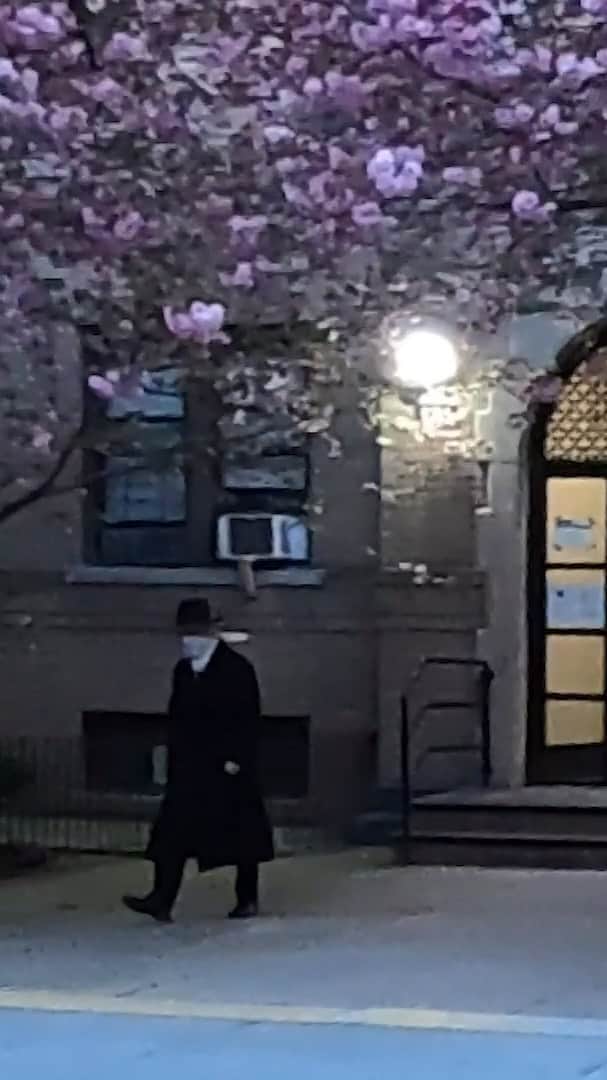 のインスタグラム：「Filming six feet away from people what is going on in the days since March 19th 2020 when my quarantine began.  #NewYork #NYC #City #Film#Documentary #Street #StreetStyle #Quarantine #CoronaLockDown #FromSixFeet #SocialDistancing #TheWayYouWEREThatDay」