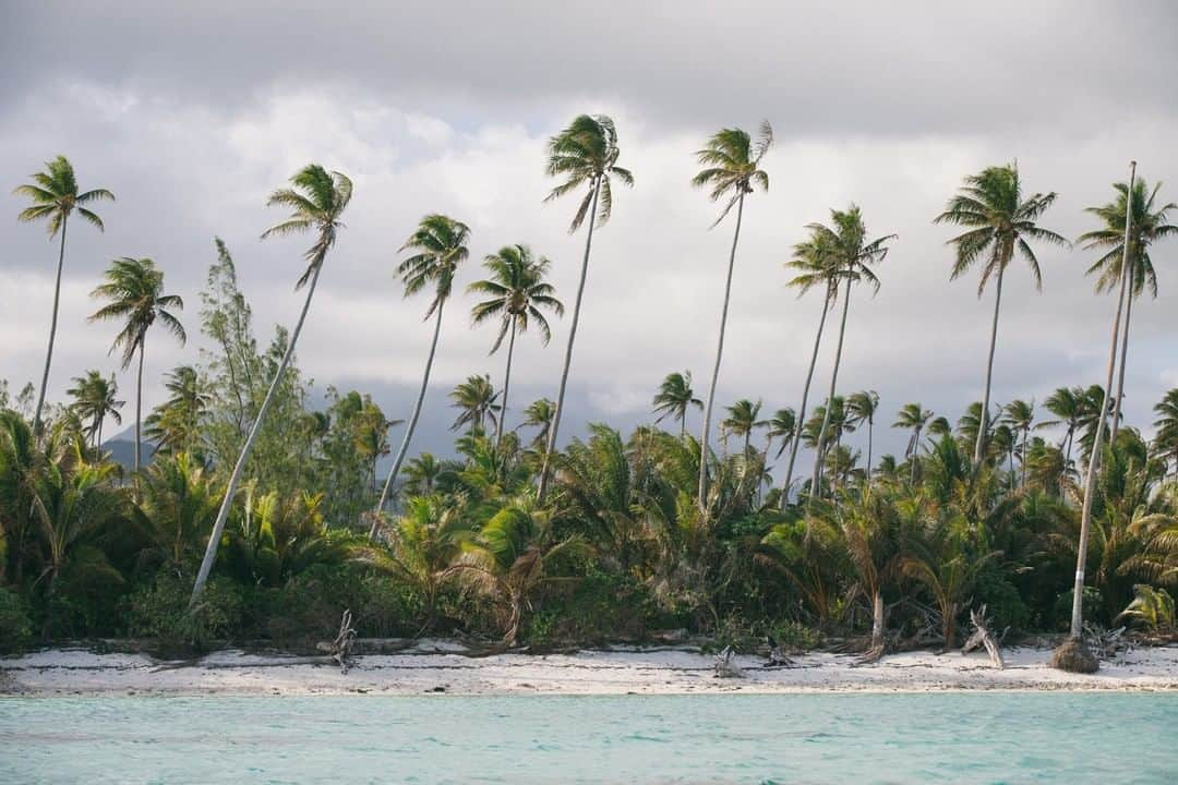 National Geographic Travelさんのインスタグラム写真 - (National Geographic TravelInstagram)「Photo by @jodymacdonaldphoto | One of the many things I love about French Polynesia is that no matter what island you go to, you can always get views like this. Follow @jodymacdonaldphoto for more images from my travels around the world. #frenchpolynesia #travel #islands」4月17日 5時06分 - natgeotravel