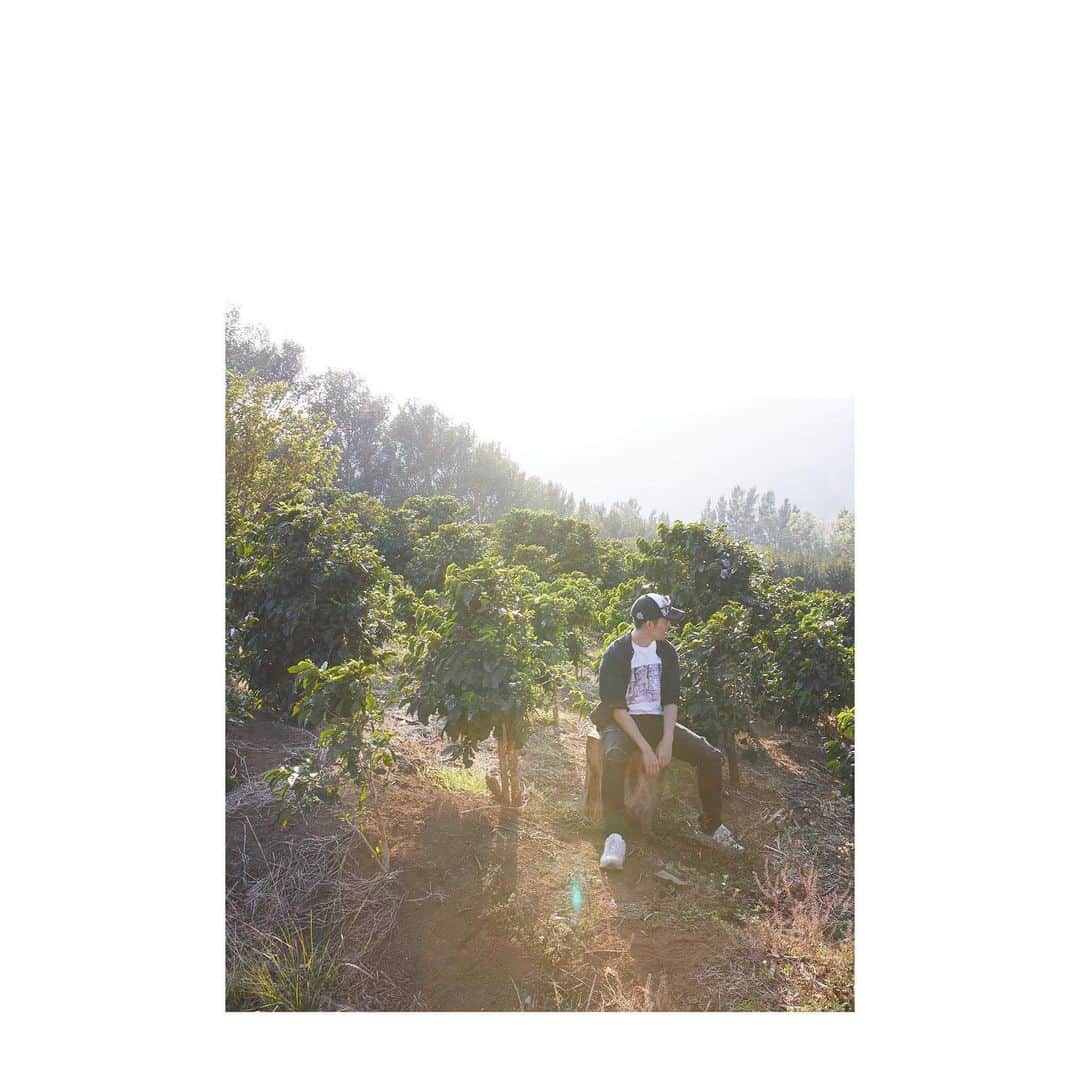 exileパフォーマンス研究所さんのインスタグラム写真 - (exileパフォーマンス研究所Instagram)「@ldh_japan_official のYouTubeで、コーヒー豆、初めてのおつかい旅が、公開されました↗︎↗︎↗︎ #CostaRica は、とにかく美しい国で、見渡す限りコーヒー農園の山々に圧倒されてしまいました。  半分僕の趣味みたいな映像ですが、この機会に覗きに来てくれたら嬉しいです(^o^)v  #coffee #PURAVIDA  Special Thanks↗︎↗︎↗︎ @maruyama_coffee  @kentaritomaruyama  @sarutahikocoffee  @exclusivecoffees  @tanyphoto」4月17日 17時25分 - exile_tetsuya_epi