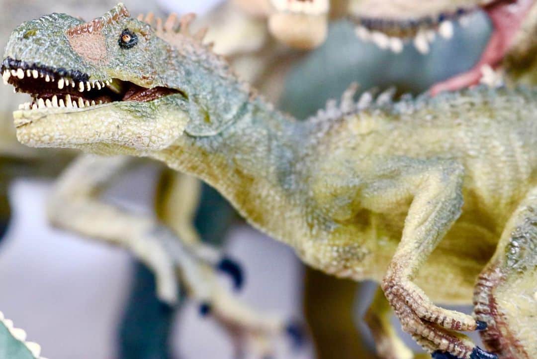 ぎわちん。さんのインスタグラム写真 - (ぎわちん。Instagram)「4月17日は恐竜の日ということで🦖 #恐竜 #恐竜の日 #ゴロザウルス #ゴジラ #ダイナソー #dinosaur  #ジュラシックパーク  #ジュラシックワールド  #jurassicpark  #jurassicworld  #ティラノサウルス #tyranosaurusrex  #allosaurus  #ヴェロキラプトル #velociraptor」4月17日 18時44分 - giwa_chin