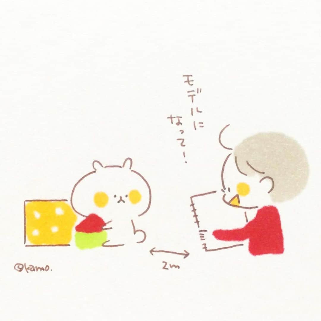 カモのインスタグラム