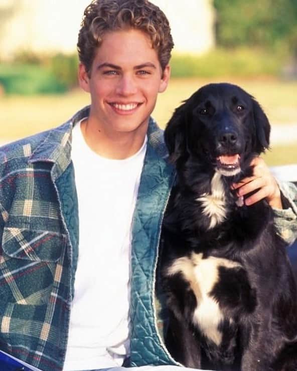 ポール・ウォーカーのインスタグラム：「#TBT 🐶 #TeamPW」