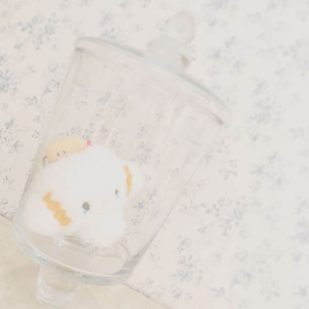 こぎみゅん（サンリオ）のインスタグラム：「. みゅっ‥でられなくなっちゃったみゅん‥ #サンリオ #キャラクター #小麦粉の妖精 #こぎみゅん #sanrio #character #cogimyun #サンリオキャラクター大賞 #投票お願いします #みゅん」