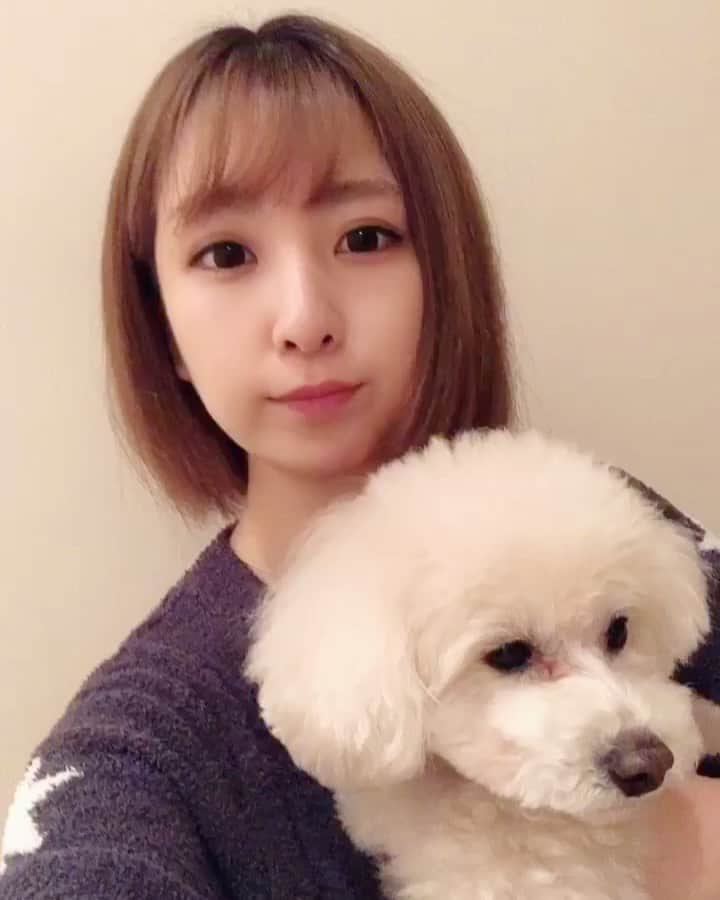 板野成美のインスタグラム：「モフモフシリーズ」