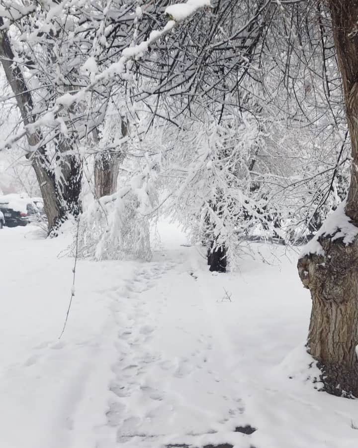 Nicole Mejiaのインスタグラム：「Mother Nature just out here playing with my emotions at this point.  She teased spring for a few weeks and then she was like.... psych! ❄️☃️🌨 All jokes aside, this is f*cking spectacular. 🙏🏼 grateful to have experienced the type of ish I save on insta for nature inspo.  Song: “Slow Fall” by Nick Box」