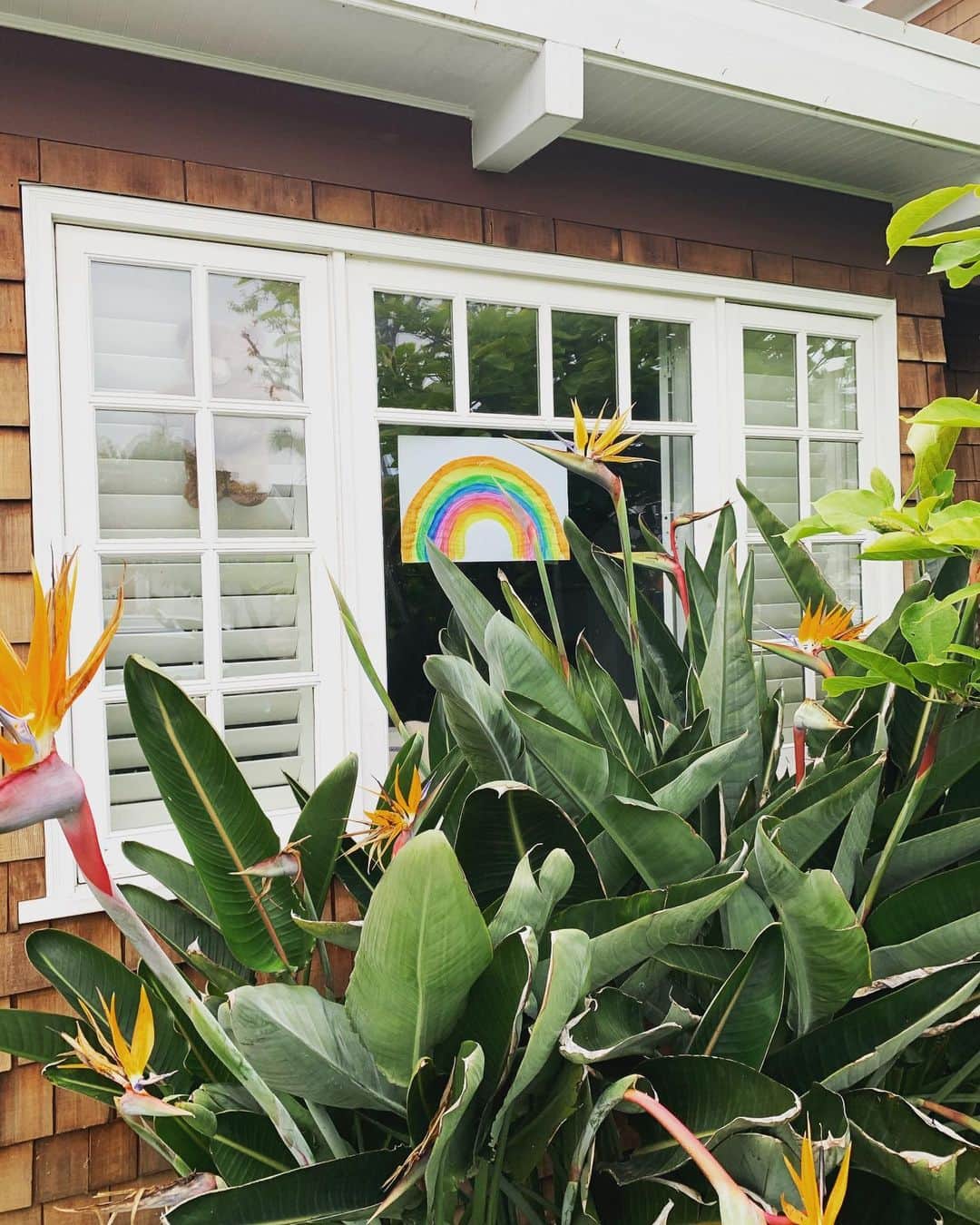 カーラ・ソウザのインスタグラム：「When you post your 🌈#rainbowsinwindows and tag @yumi they will donate a month’s worth of meals to Feeding America to help support families in need. I nominate @ajanaomi_king @accidentalmommydiaries and @jordanabrewster 🌈」