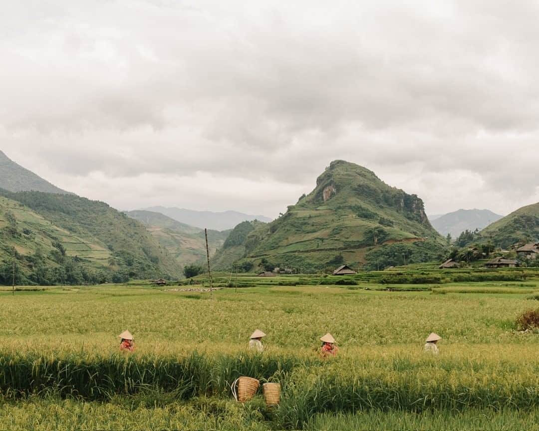 National Geographic Travelさんのインスタグラム写真 - (National Geographic TravelInstagram)「Photo by @kevinfaingnaert | The long but scenic trip from Hanoi to Mu Cang Chai in northern Vietnam is definitely worth it. Cultivated for hundreds of years, the rice fields in the region are among the most beautiful ones in the country. #Vietnam」4月17日 13時10分 - natgeotravel