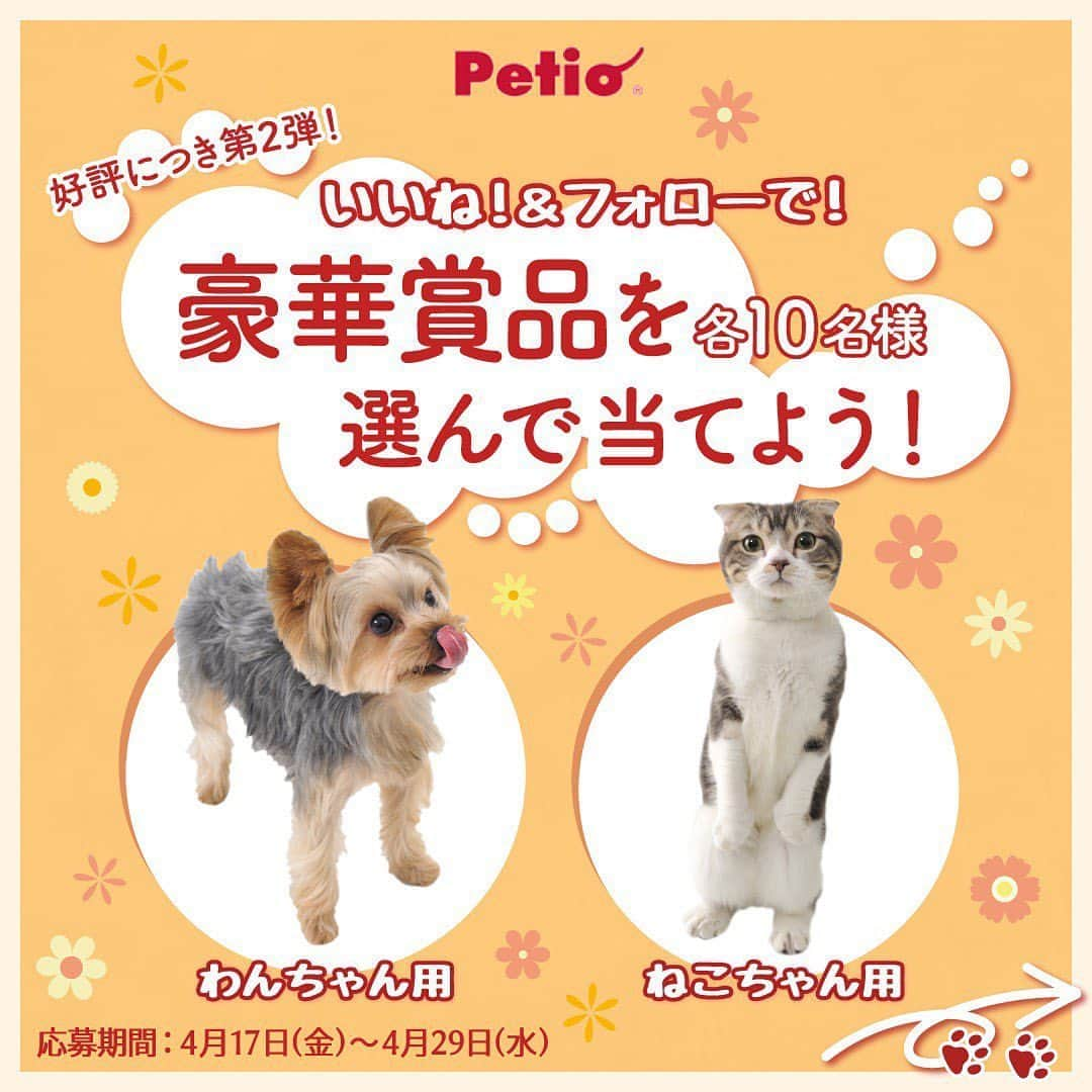 Petioのインスタグラム