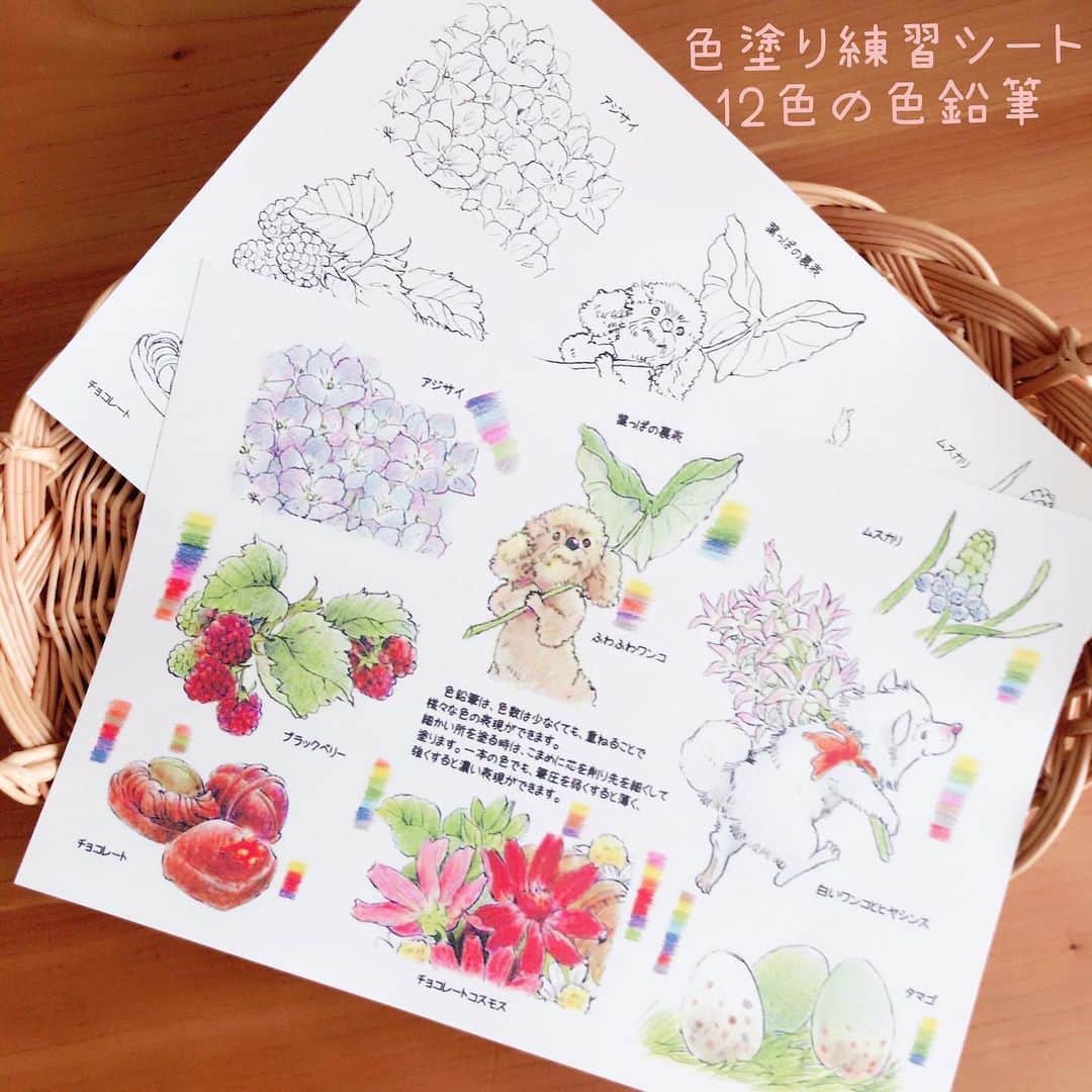 イラストレーター山崎牧子さんのインスタグラム写真 - (イラストレーター山崎牧子Instagram)「Fairies Calendar2019より ピックアップ。 チョコレートコスモス・アジサイ ・ヒヤシンス・ムスカリ ・ブラックベリーの５種類の絵柄を 用いた塗り絵セットを作りました。 季節の花と遊ぶフェアリーサイズの ワンちゃんたちと、ネコちゃんも。 たくさん色数がなくても大丈夫。 12色の色鉛筆を使って実際に色塗りも してみての、個人的なアドバイスを載 せた練習用シート。お子さんと一緒に 塗り絵を楽しんでいただくことも考え ながらあれこれ作ってみました😌 練習用シート／塗り絵５種類の絵柄 ／大きな絵柄の２種／チョコレートコ スモス、アジサイ２種のポストカード が内容です。 プロフィールにリンクしているminne での販売と、DMからもご注文いただけます。 ※次回のポストは塗り絵の線画です。 よかったらプリントアウトしてみてくださいね🎨 #塗り絵#遊び#家遊び#イラストレーター#子ども#色鉛筆#犬#猫#花#いなとめまきこ#artwork#illustrator#childrenillustration」4月17日 14時00分 - makiko.inatome