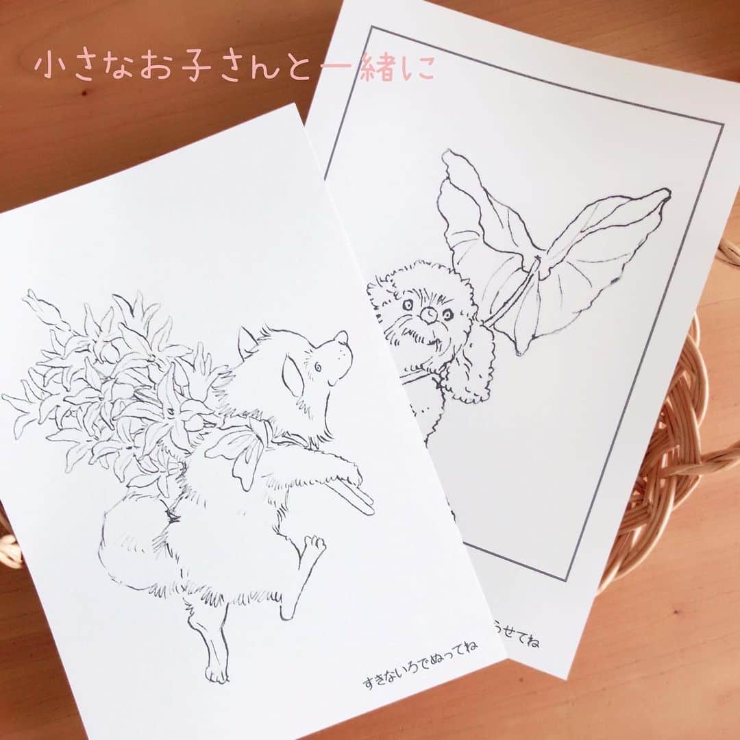 イラストレーター山崎牧子さんのインスタグラム写真 - (イラストレーター山崎牧子Instagram)「Fairies Calendar2019より ピックアップ。 チョコレートコスモス・アジサイ ・ヒヤシンス・ムスカリ ・ブラックベリーの５種類の絵柄を 用いた塗り絵セットを作りました。 季節の花と遊ぶフェアリーサイズの ワンちゃんたちと、ネコちゃんも。 たくさん色数がなくても大丈夫。 12色の色鉛筆を使って実際に色塗りも してみての、個人的なアドバイスを載 せた練習用シート。お子さんと一緒に 塗り絵を楽しんでいただくことも考え ながらあれこれ作ってみました😌 練習用シート／塗り絵５種類の絵柄 ／大きな絵柄の２種／チョコレートコ スモス、アジサイ２種のポストカード が内容です。 プロフィールにリンクしているminne での販売と、DMからもご注文いただけます。 ※次回のポストは塗り絵の線画です。 よかったらプリントアウトしてみてくださいね🎨 #塗り絵#遊び#家遊び#イラストレーター#子ども#色鉛筆#犬#猫#花#いなとめまきこ#artwork#illustrator#childrenillustration」4月17日 14時00分 - makiko.inatome