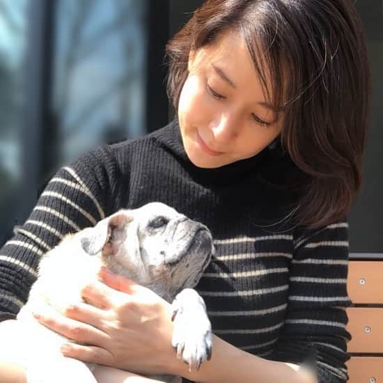 内田恭子さんのインスタグラム写真 - (内田恭子Instagram)「きみも日光浴。気持ちいいね。  #ilovepug #puglover #パグ　#内田恭子　#kyokouchida」4月17日 14時11分 - kyoko.uchida.official