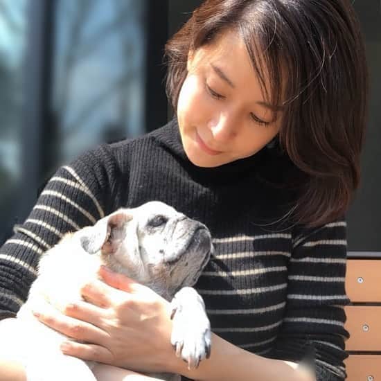 のインスタグラム：「きみも日光浴。気持ちいいね。  #ilovepug #puglover #パグ　#内田恭子　#kyokouchida」