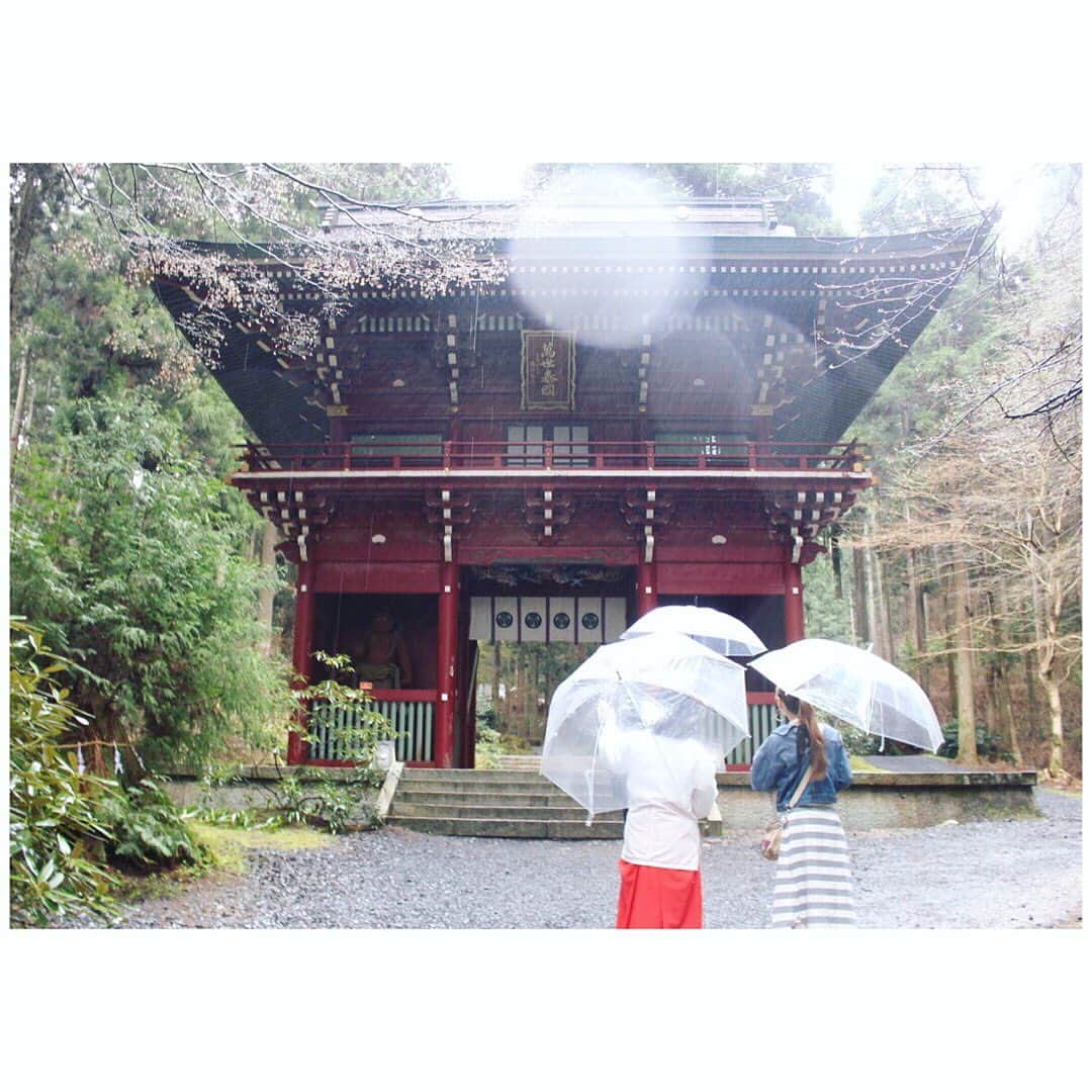 柴田幸子さんのインスタグラム写真 - (柴田幸子Instagram)「🙏🙏🙏なんだか神々しい‼️」4月17日 15時50分 - shibata_sachiko