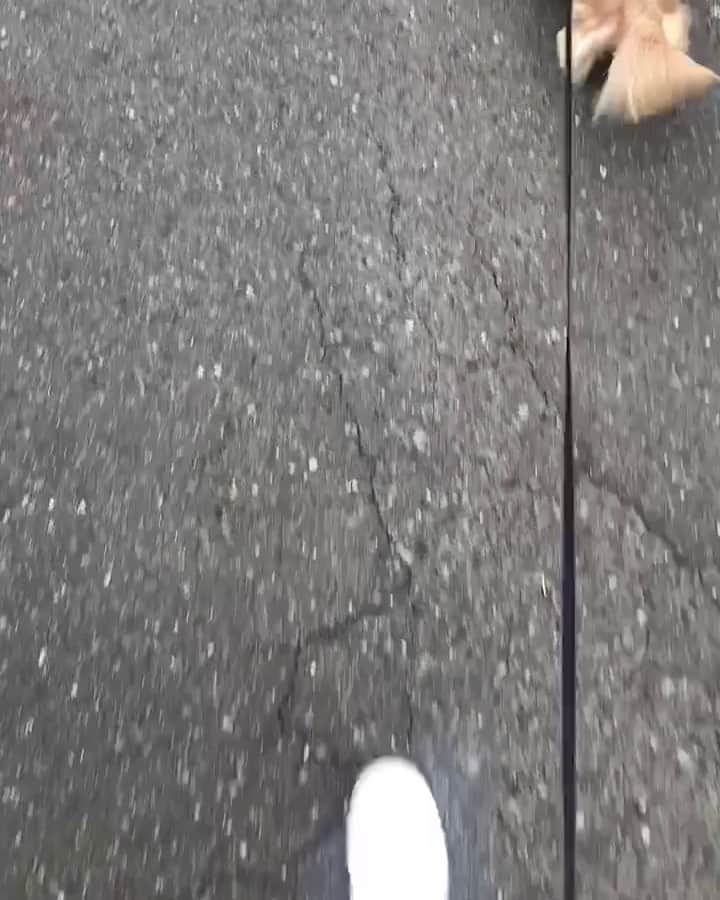 のインスタグラム