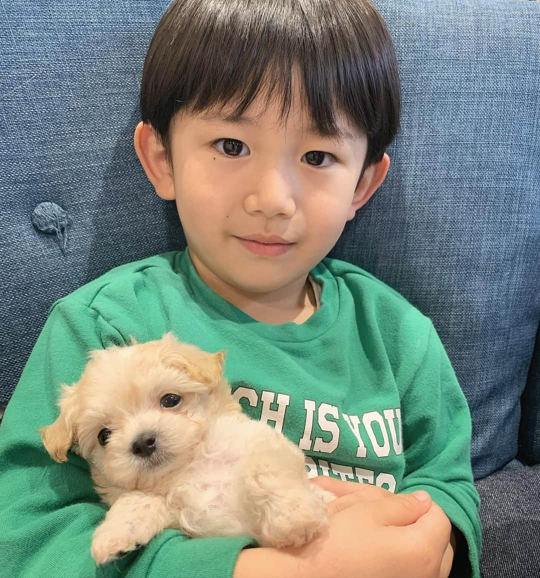 小堀ケネスのインスタグラム：「Little Dean wants this Puppy.  Too cute.😊 ディーン君このワンチャンに一目惚れ。 フワフワパンって勝手に名付けちゃった。どうすればいいのか。😅 #notdrunk #littledean #puppy #togetornottoget #ディーン君　#わんちゃん #鬼ママ#パパ#どうすればいいの  @mariakamiyama」