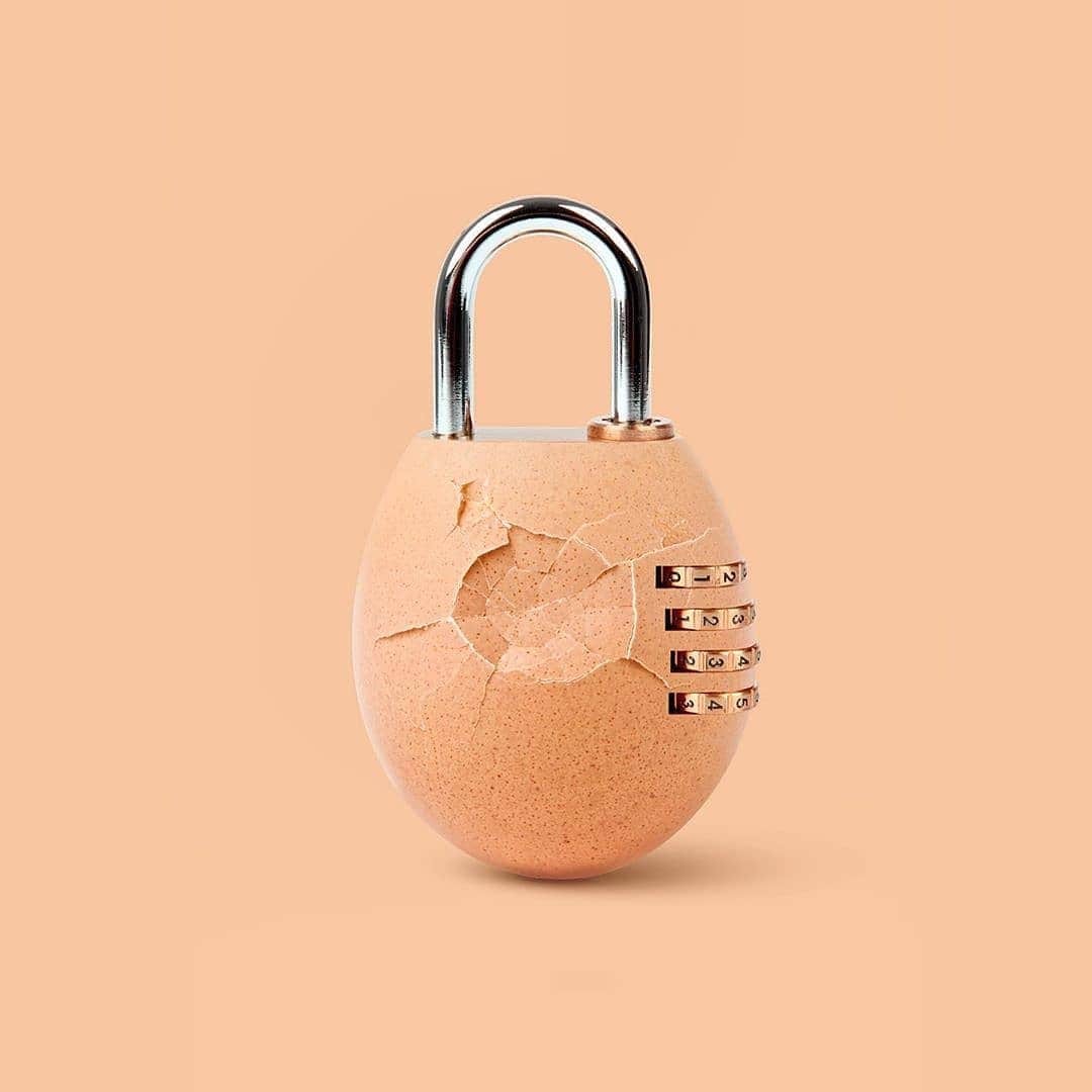 Eggs Conceptのインスタグラム