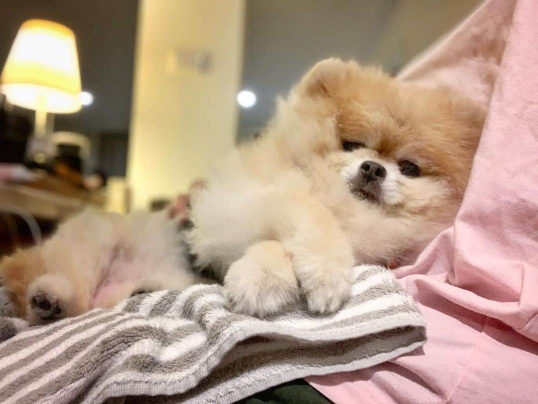 Ella Chuffyのインスタグラム：「Cuddle time 🤗🧡 #homes #ellachuffy」