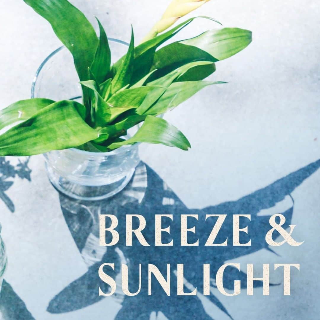 unicoさんのインスタグラム写真 - (unicoInstagram)「Ξ2020 Early Summer StylingΞ「BREEZE&SUNLIGHT – くつろぐ光」 . 今年の初夏のスタイリングテーマは「BREEZE&SUNLIGHT」。 光と風を感じる空間で過ごす、さわやかな初夏の1日をイメージしました。 . オンラインショップでは、初夏のスタイルアルバムを公開中です。 . 軽やかで開放的な雰囲気のお部屋をプロフィールのリンクからのぞいてみてください。 . スタイルアルバムで使用したWICKシリーズの特集ページも公開中。 どこか懐かしさを感じるヴィンテージスタイルのデザインや、チークやラタンなどの素材を使用したアイテムをご紹介しています。合わせてご覧ください。 . ----- ◆詳細はプロフィールのリンクからどうぞ @unico_fan ----- #unico_fan #ウニコ #unicoのある暮らし #インテリアショップ #部屋づくり #部屋作り #おうち #部屋の模様替え #模様替え #部屋 #インテリア #インテリアコーディネート #おしゃれインテリア #myroom #メイクマイルーム #暮らしを楽しむ #日々の暮らしを楽しむ #unico家具　#ダイニングインテリア #リビングインテリア #ヴィンテージインテリア #カジュアルヴィンテージ #unicoソファ #ソファ #ダイニングテーブル #ソファダイニング #キャビネット #初夏 #犬のいる生活 #植物のある生活」4月17日 19時24分 - unico_fan