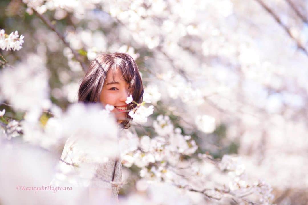 藤江れいなさんのインスタグラム写真 - (藤江れいなInstagram)「( @kazuhagiwara1010 )さんが前に Twitterの方に載せてくれていた桜shot📷🌸☺️ 凄く素敵だからこちらにも♡」4月17日 19時48分 - 01nyan0201