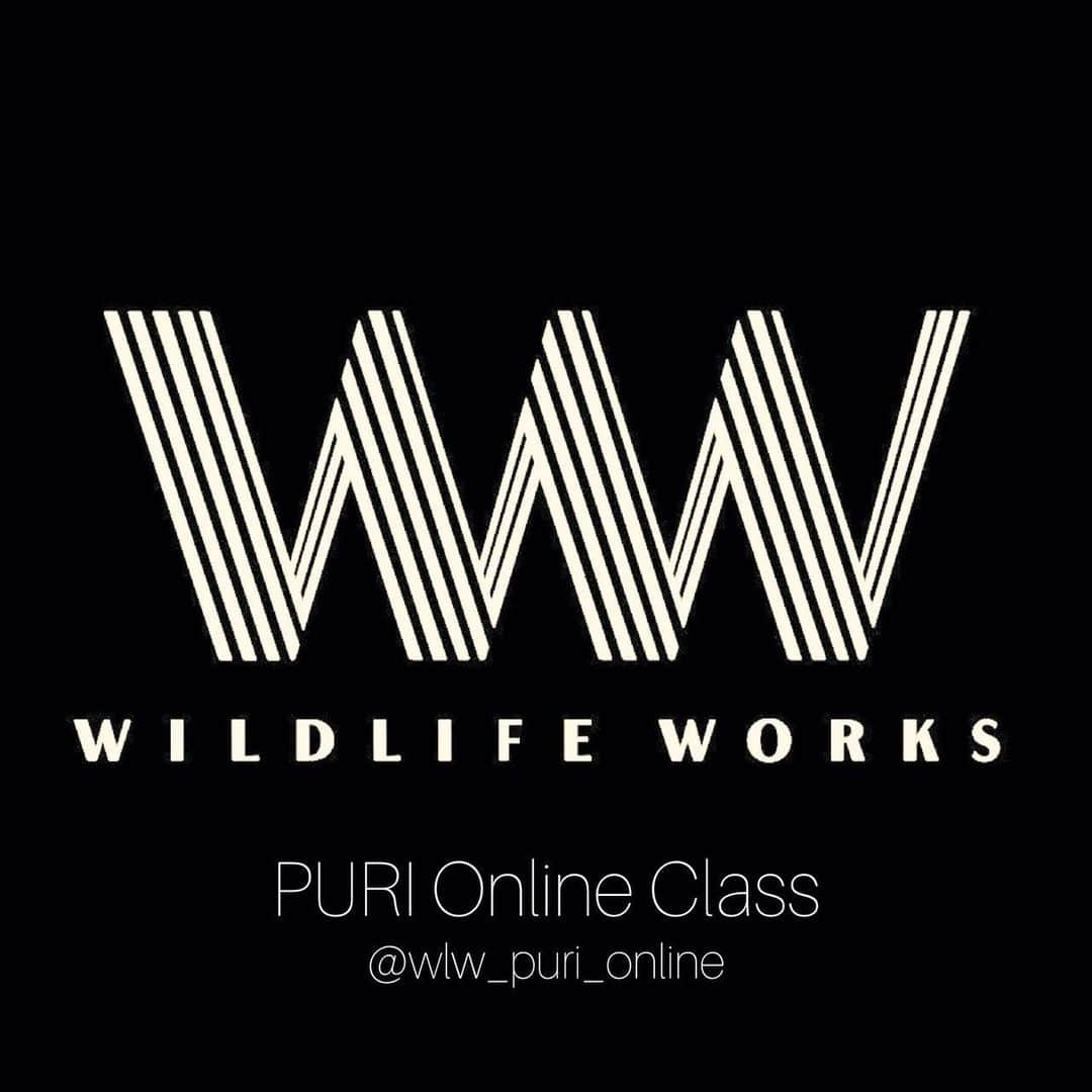 PURIさんのインスタグラム写真 - (PURIInstagram)「新しいアカウントを作りました！  PURI 無料ONLINE CLASS  @wlw_puri_online  初回は 4/19 (SUN)14:00〜  アイストレーション、リズムトレーニングをベースとしたCLASSになります！ いつも開催しているビギナーさん向けWORKSHOPの内容に似ていると思います。 . ダンスをこれから始めたい方や初心者、ダンサー、みんなが楽しめる内容になっていると思います！！ . こういう状況下ですので いろいろ考えましたが、とりあえず楽しめる事をやりたいと思い試験的ではありますがやってみようと思います！！ . kyoも別アカウントでやりますのでそちらの方も是非チャレンジしてみてください！！ @wlw_kyo_online  みんなで楽しくやりましょー🧔🏽🤟🏽 是非リクエスト宜しくお願いします！！」4月17日 20時08分 - puri0621