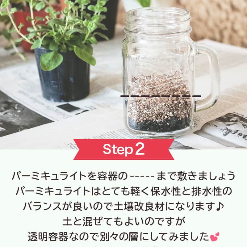 LIMIA（リミア）さんのインスタグラム写真 - (LIMIA（リミア）Instagram)「. 料理に！暮らしに！いろいろ使えるハーブ🌱  花壇や菜園がなくても小さな容器さえあれば 立派に収穫ができますよ♪  ハーブでお部屋に緑と癒しを増やしませんか🥰？？ . photo by ゆぴのこさん @yupinoko https://limia.jp/idea/68120/ 記事の詳細はプロフィールリンクから飛べます✨ ▶@limiajp . #暮らし #暮らしのアイデア #生活の知恵 #limia #ハーブ #ハーブ植え込み #ハーブ植え替え #ハーブを育てる #家庭菜園 #室内菜園 #菜園グッズ #菜園アイテム #100均 #100均アイテム #100均園芸 #メイソンジャー #メイソンジャー活用 #メイソンジャーアイデア #ハーブ料理 #ハーブティー #ハーブオイル #ハーブを楽しむ #ハーブを増やす #ベランダ園芸 #ベランダ菜園 #生活の知恵 #主婦の知恵 #おうち時間 #おうち時間を楽しむ #リミア知恵袋」4月17日 21時00分 - limiajp