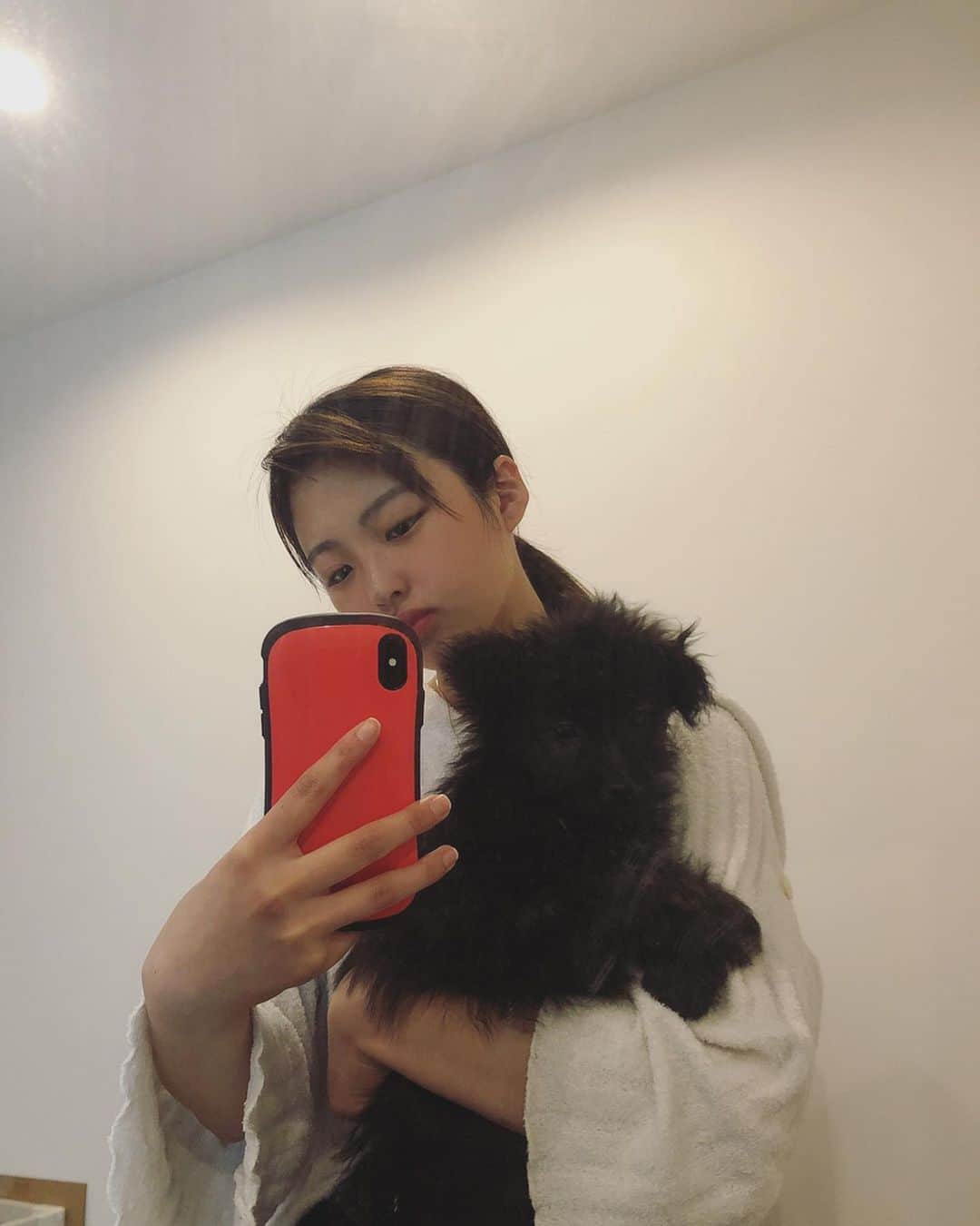石井美音奈のインスタグラム：「初めて会った時は小さかったのに🥺1か月でこんなにおっきくなっちゃたのね(^◇^;) ちっちゃかったノア君も少し恋しい 最近写真フォルダーnoahでいっぱいだけどすぐ大きくなっちゃうなら今しか無いnoah沢山撮らせてねー🥰🥰 #noah #ノア　#わんちゃん #愛犬」